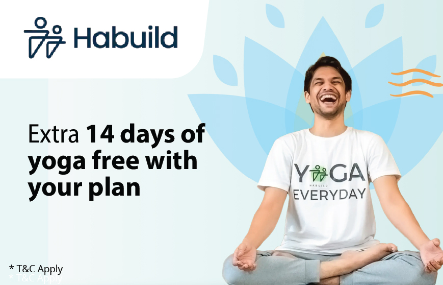 Habuild